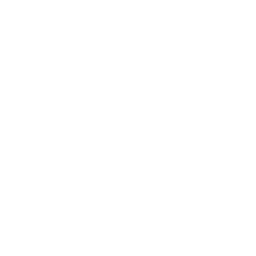 Raise The Bass